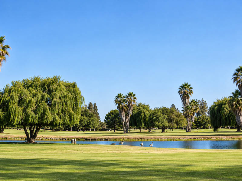 Fairway and pond with palm trees at Madera Municipal Golf Course in Madera, CA.