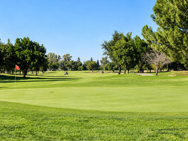 Golf green and fairway with trees and carts at Madera Municipal Golf Course.
